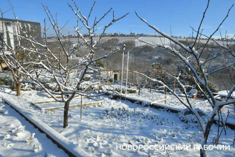 Одни новороссийцы радуются снегу, а другие &ndash; категорически против