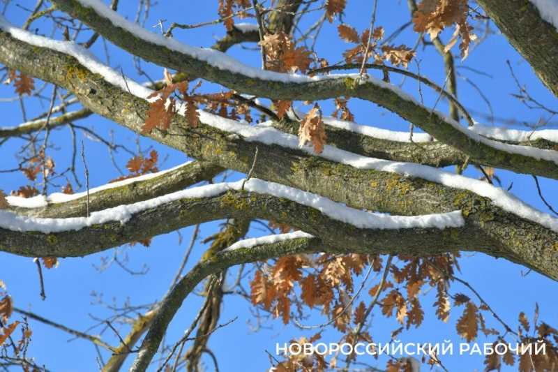 Одни новороссийцы радуются снегу, а другие &ndash; категорически против