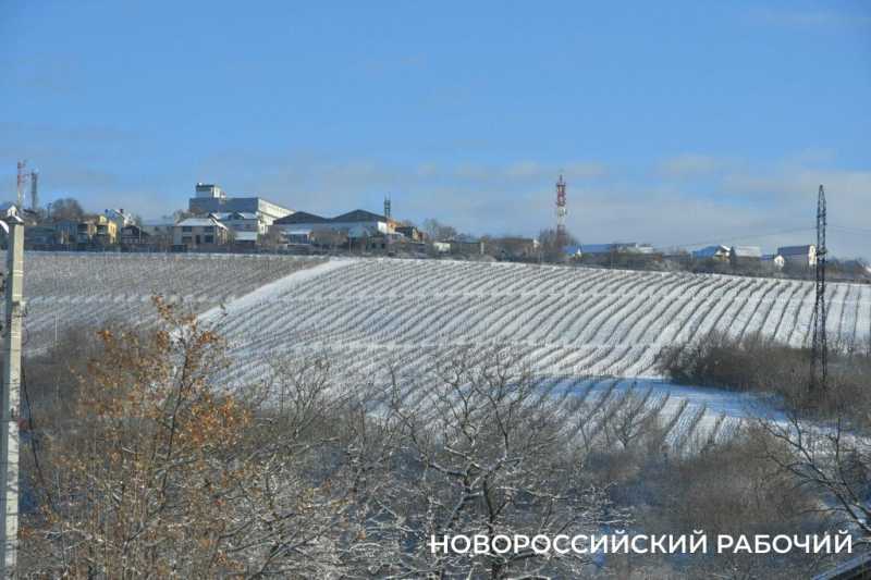 Одни новороссийцы радуются снегу, а другие &ndash; категорически против