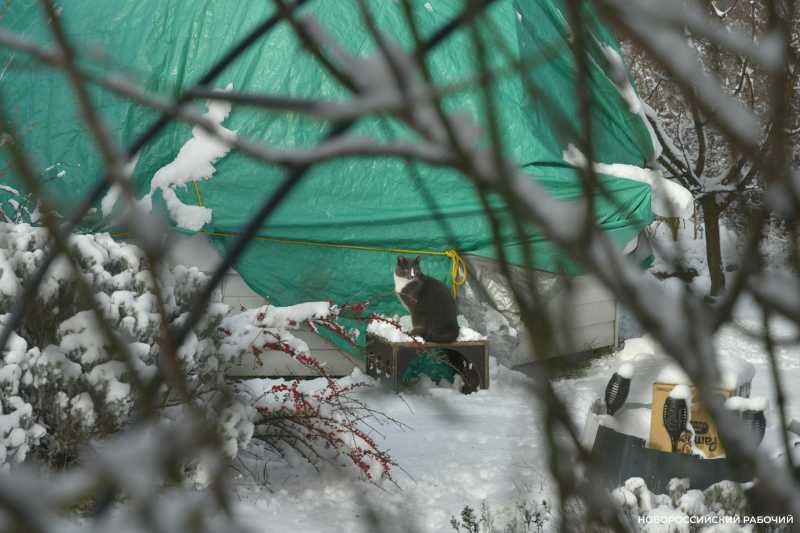 Одни новороссийцы радуются снегу, а другие &ndash; категорически против