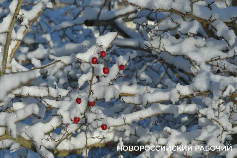 Одни новороссийцы радуются снегу, а другие &ndash; категорически против