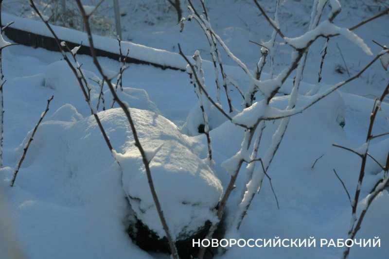 Одни новороссийцы радуются снегу, а другие &ndash; категорически против
