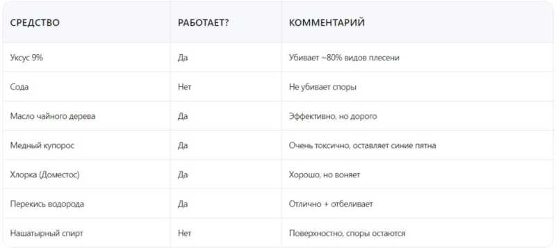 Плесень в квартире: почему появляется и как от неё избавиться навсегда