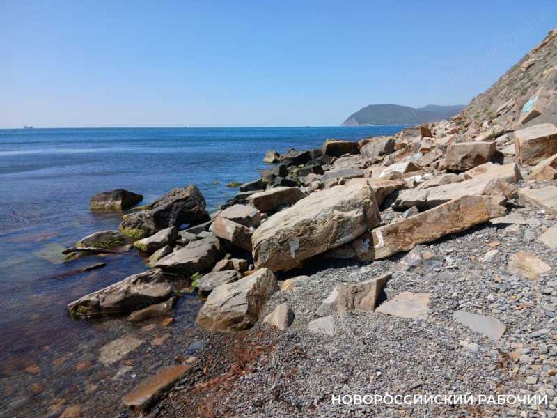 Попытка ВСУ устроить диверсию в Новороссийске не достигла цели: корабли не получили повреждений