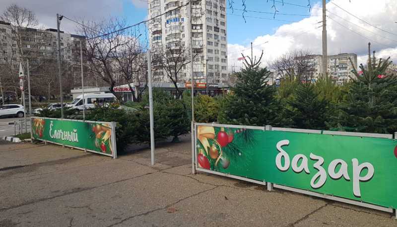 С 15 декабря в Новороссийске заработают елочные базары