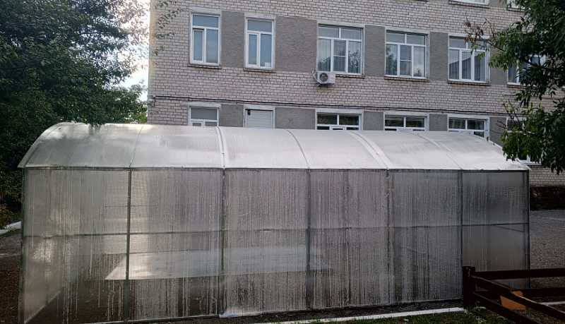 Школьные теплицы Новороссийска: новый этап в экологическом образовании