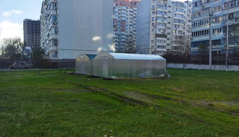 Школьные теплицы Новороссийска: новый этап в экологическом образовании