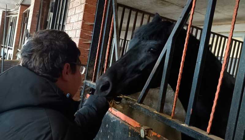 Сложные задачи и новогоднее чудо: в конной школе дети с особенностями развития нашли любовь и мечту своей жизни