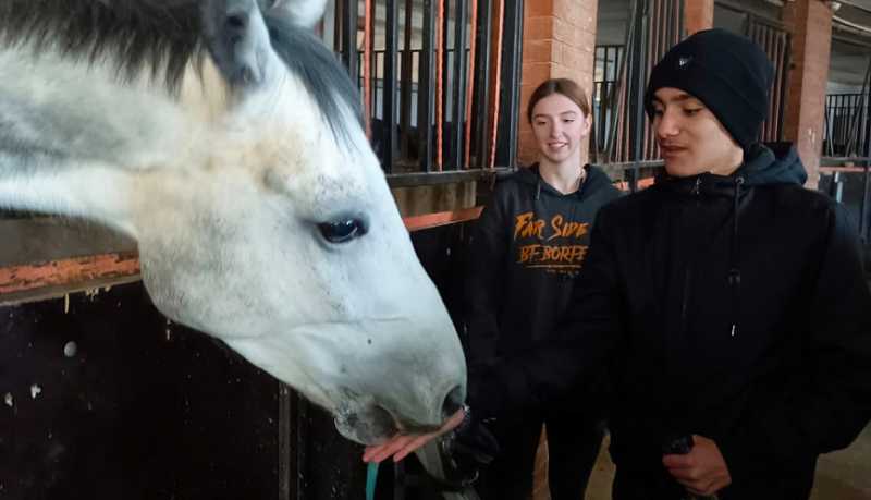 Сложные задачи и новогоднее чудо: в конной школе дети с особенностями развития нашли любовь и мечту своей жизни