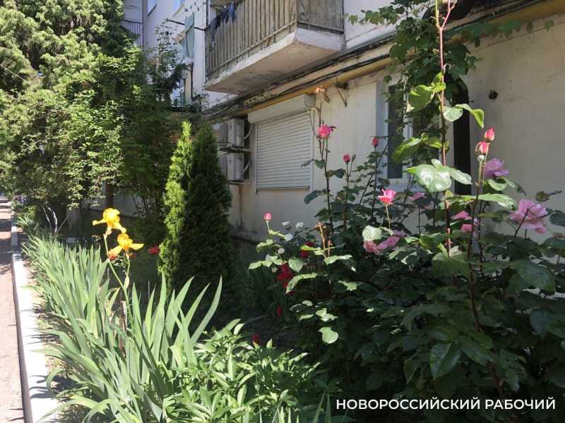 Советы дня на 1 декабря: о первом дне зимы, журнале Playboy и советской власти