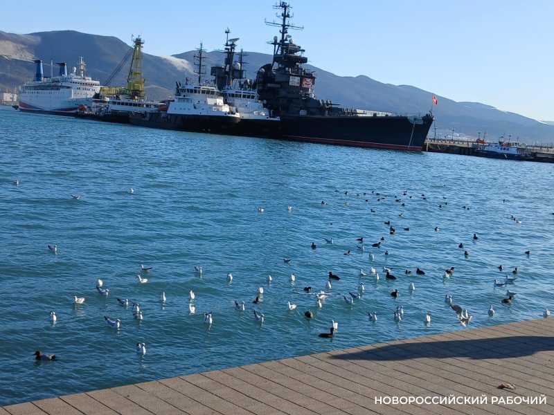 Советы дня на 11 декабря: о зажженных свечах, Андреевском флаге и анестезии в стоматологии