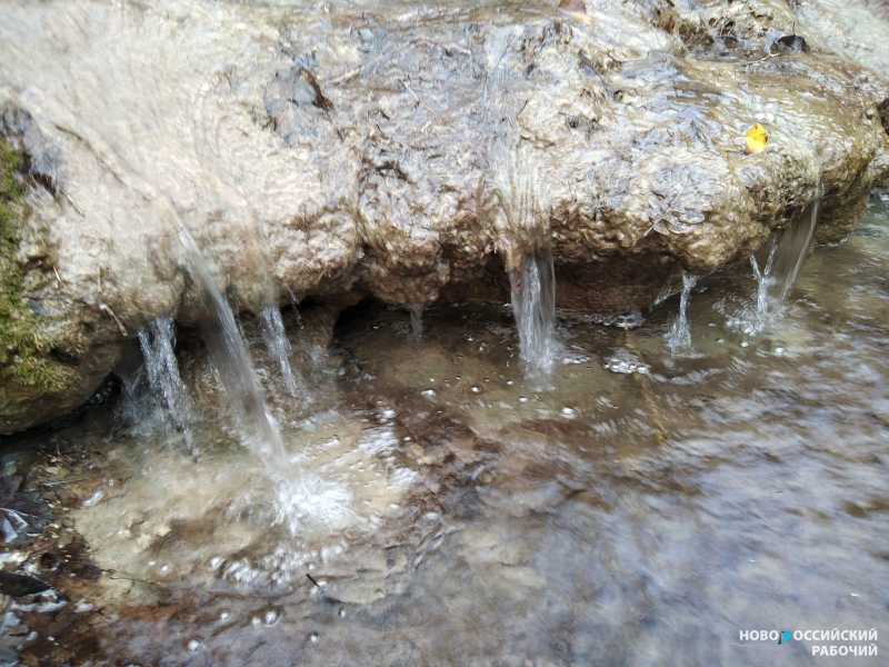 Советы дня на 3 декабря: о Неизвестном солдате, Всемирном потопе и борьбе с пестицидами