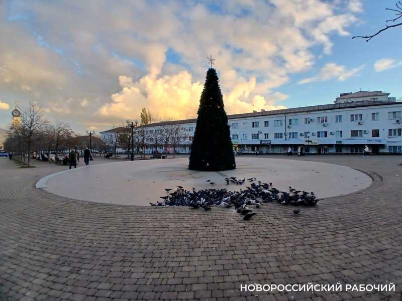 Советы дня на 9 декабря: о борьбе с коррупцией, грузчиках и Героях Отечества