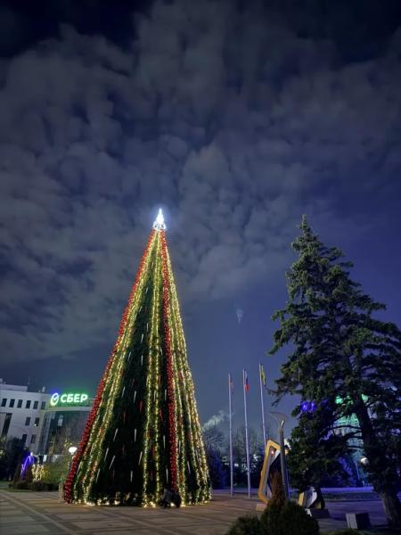 В новогоднюю ночь полицейские будут дежурить у городских елок Новороссийска