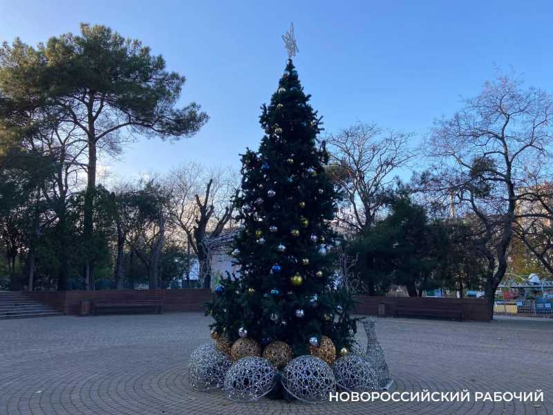 В Новороссийске главную елку поставят до 15 декабря