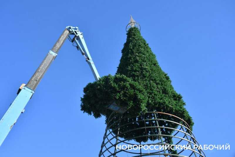 В Новороссийске монтируют главную елку