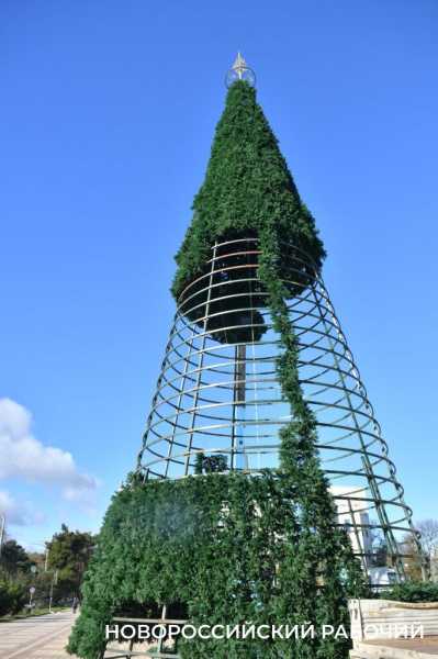 В Новороссийске монтируют главную елку