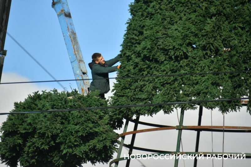 В Новороссийске монтируют главную елку