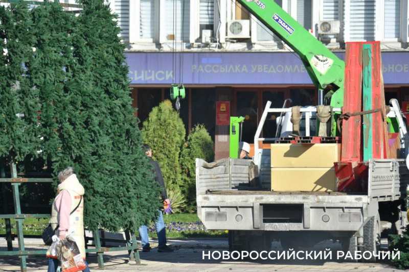 В Новороссийске монтируют главную елку