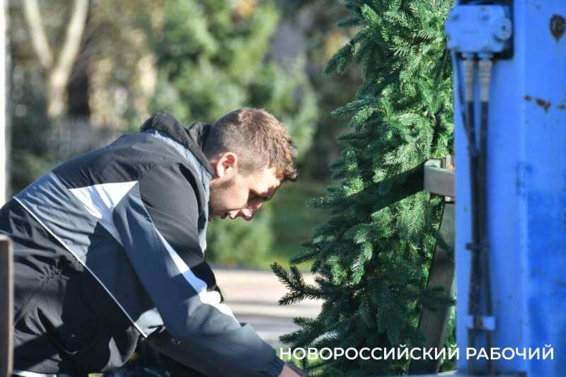 В Новороссийске монтируют главную елку