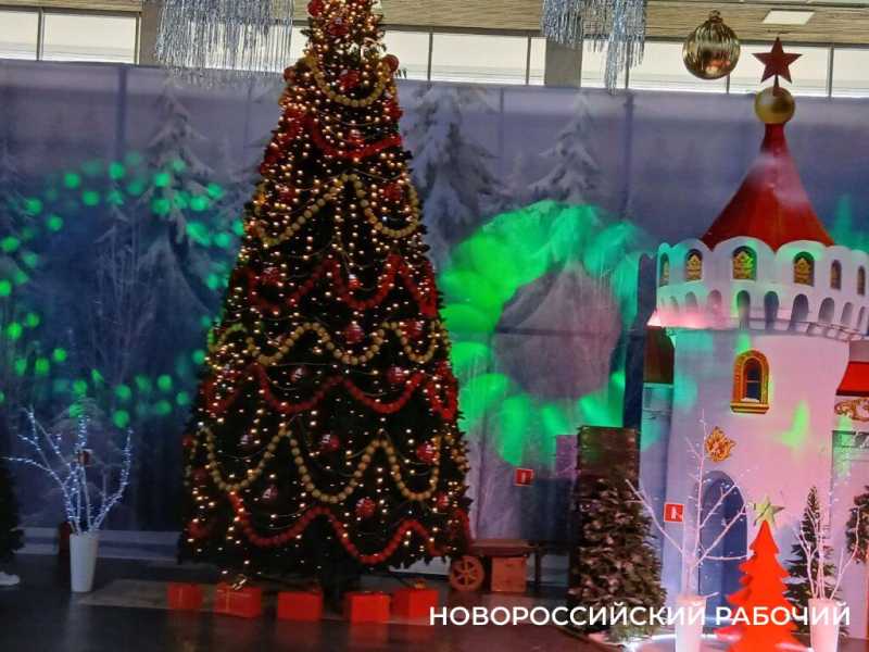 В Новороссийске наградили мам и пап особых спортсменов