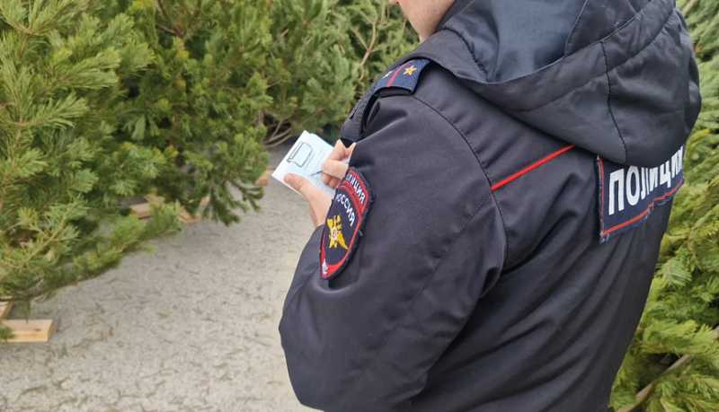 В Новороссийске полицейские пресекли незаконную продажу хвойных деревьев