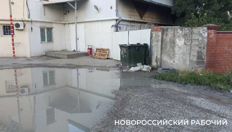 В Новороссийске предлагают нанести на Яндекс-карты лужу, которой 20 лет от роду