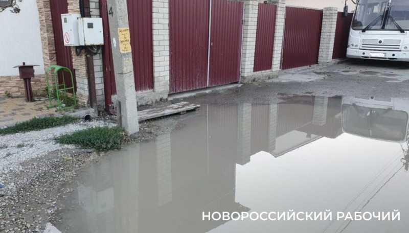 В Новороссийске предлагают нанести на Яндекс-карты лужу, которой 20 лет от роду