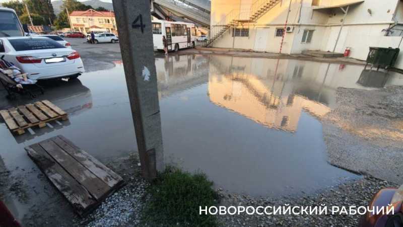 В Новороссийске предлагают нанести на Яндекс-карты лужу, которой 20 лет от роду