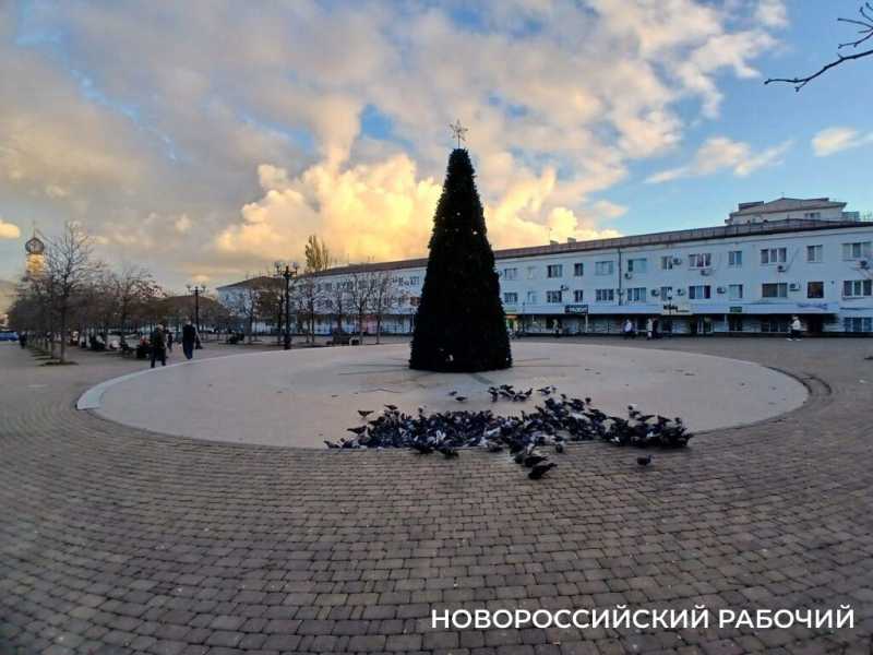 В Новороссийске сэкономят на новогодних украшениях. Важнее &mdash; восстановить дома горожан