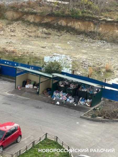 В Новороссийске сокращают людей и количество бригад по уборке мусора. В городе стало чисто?