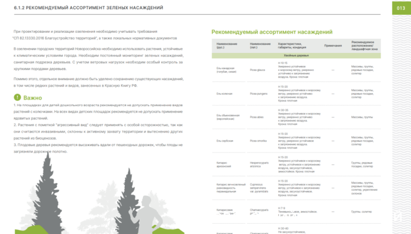 В список рекомендованных растений для Новороссийска включили и тропические, и северные деревья