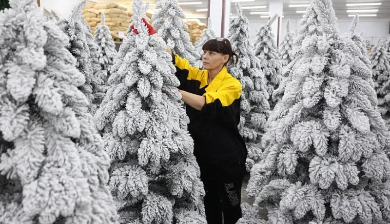 Вениамин Кондратьев: В Краснодарском крае производят все главные атрибуты Нового года &ndash; елки и игрушки