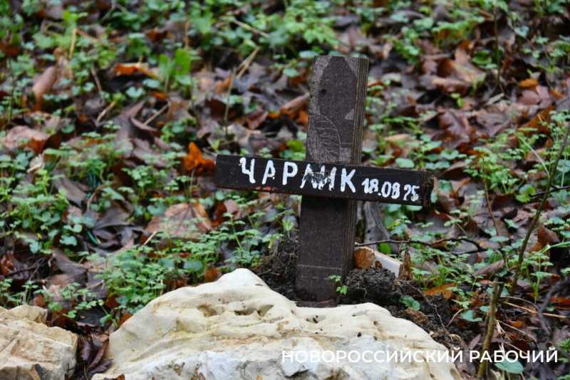 Вся семья была отравлена! В Новороссийске разрастается кладбище домашних животных