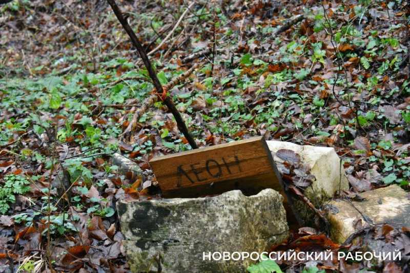 Вся семья была отравлена! В Новороссийске разрастается кладбище домашних животных