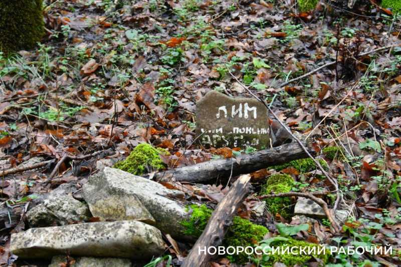 Вся семья была отравлена! В Новороссийске разрастается кладбище домашних животных