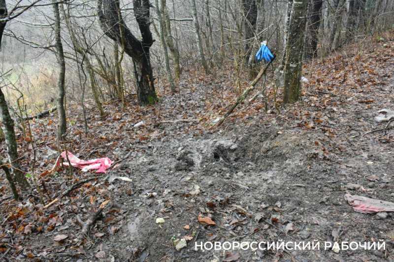 Вся семья была отравлена! В Новороссийске разрастается кладбище домашних животных