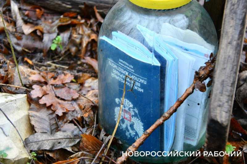 Вся семья была отравлена! В Новороссийске разрастается кладбище домашних животных