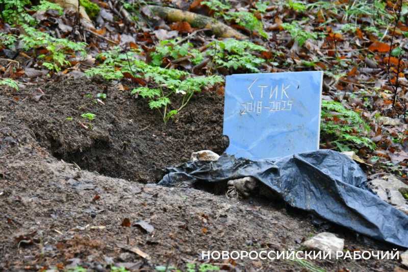 Вся семья была отравлена! В Новороссийске разрастается кладбище домашних животных