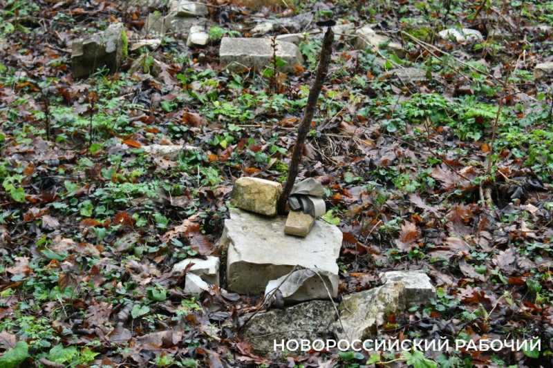 Вся семья была отравлена! В Новороссийске разрастается кладбище домашних животных