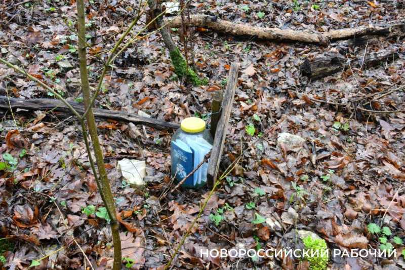 Вся семья была отравлена! В Новороссийске разрастается кладбище домашних животных