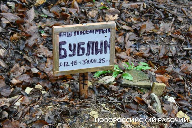 Вся семья была отравлена! В Новороссийске разрастается кладбище домашних животных