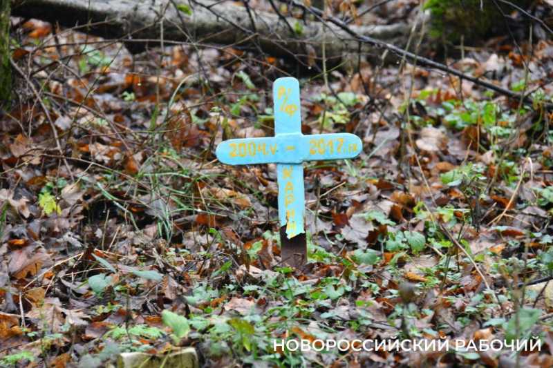 Вся семья была отравлена! В Новороссийске разрастается кладбище домашних животных