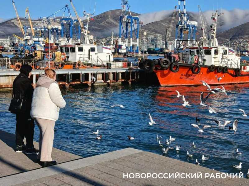Зимние выходные в Новороссийске: норд-ост не отменил прогулок по набережной