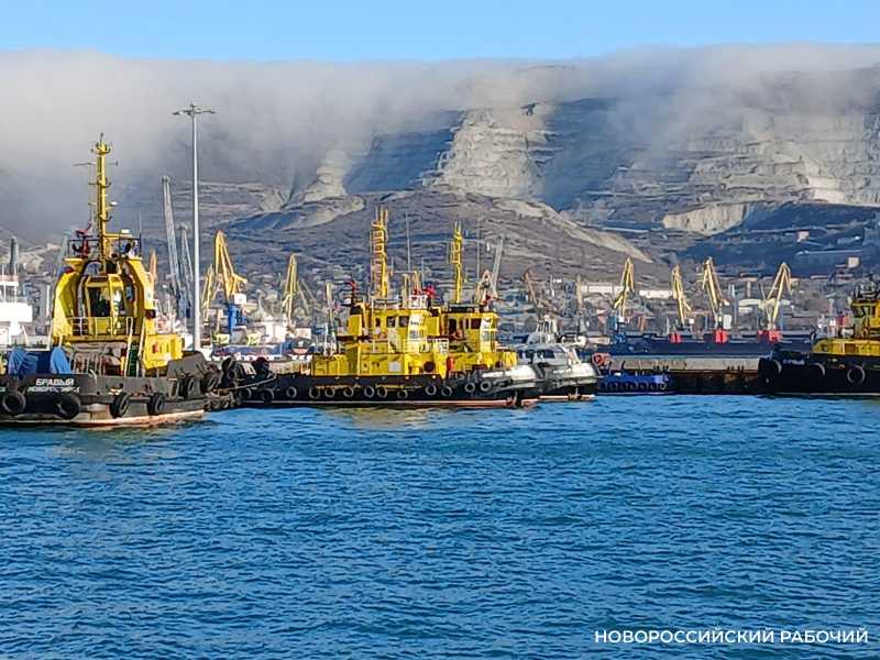 Зимние выходные в Новороссийске: норд-ост не отменил прогулок по набережной