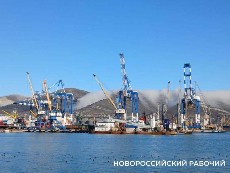 Зимние выходные в Новороссийске: норд-ост не отменил прогулок по набережной