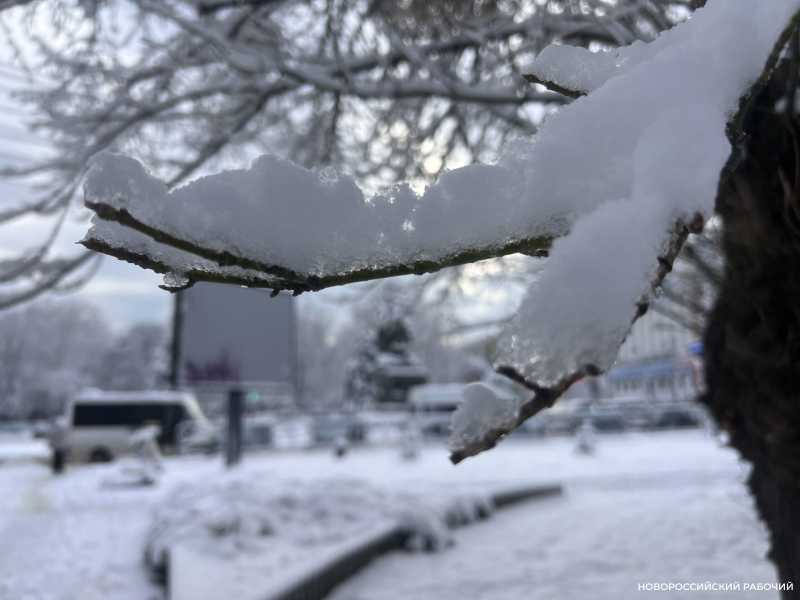 23 января 1973 года на пивзаводе &laquo;Новороссийский&raquo; сварили первое пиво