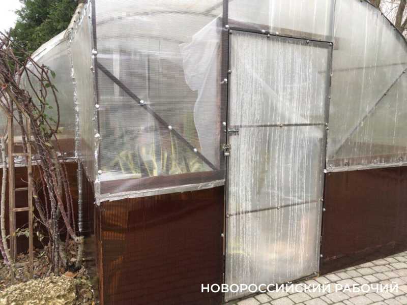 Абрау-Дюрсо новогоднее, без снега. Для настроения и воспоминаний на весь год!