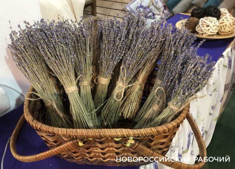 Абрау-Дюрсо новогоднее, без снега. Для настроения и воспоминаний на весь год!