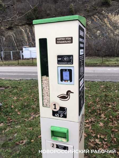 Абрау-Дюрсо новогоднее, без снега. Для настроения и воспоминаний на весь год!